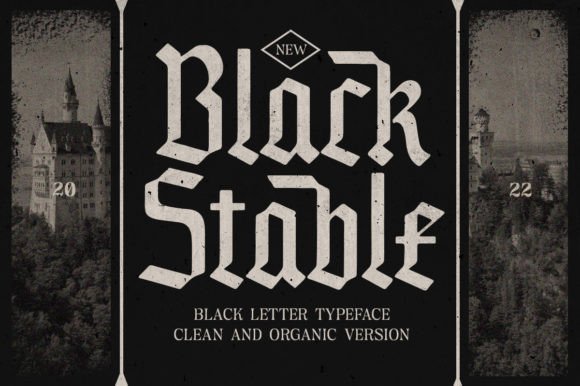 Redefining Authority: How Black Stable is Reshaping Modern Visual Identity and Brand Narrative